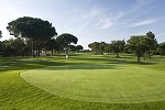 Golf Clubs in NSW - Things to Do In NSW
