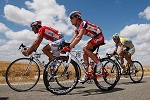 Activities in NSW - Things to Do In NSW